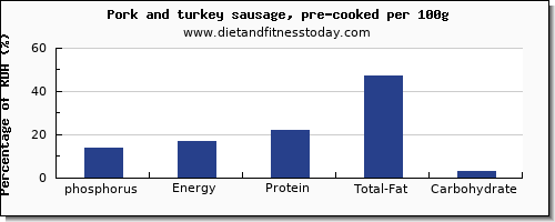 phosphorus and nutrition facts in pork sausage per 100g